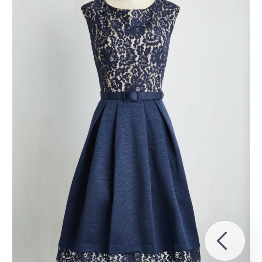 👗 ModCloth Lovely in Lyons A-Line Dress 👗